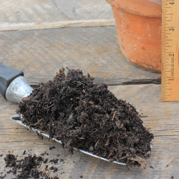 Cedar Grove Compost Sample