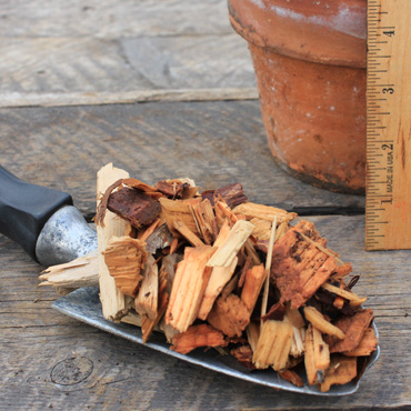 Cedar Play Chips Sample