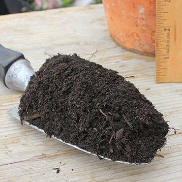 Raised Bed Soil Sample
