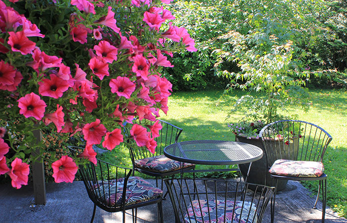 pink petunia basket on a patio