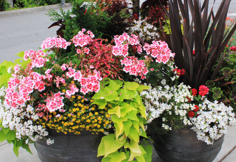 call sky nursery