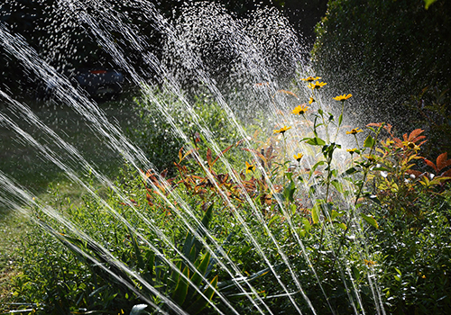 sprinkler in a flower bed
