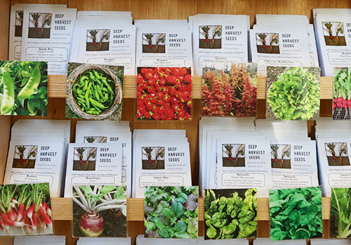 bbsee_deepHarvest_spr_500x350_5L9A8884