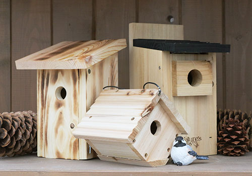 Well designed and well-placed bird houses are the secret to getting birds to move in.