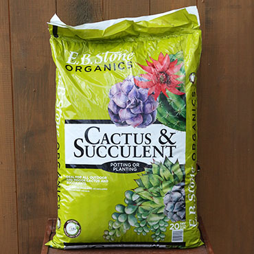 bag_EbStone_CactusSucculentMix_5L9A8784