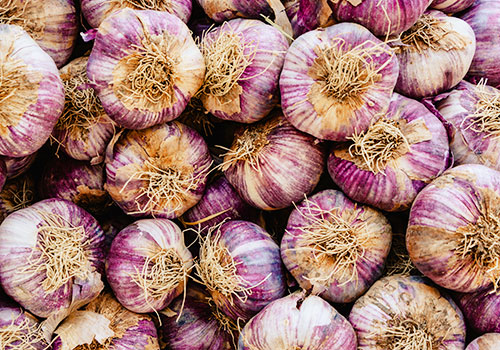 Red seed garlic.
