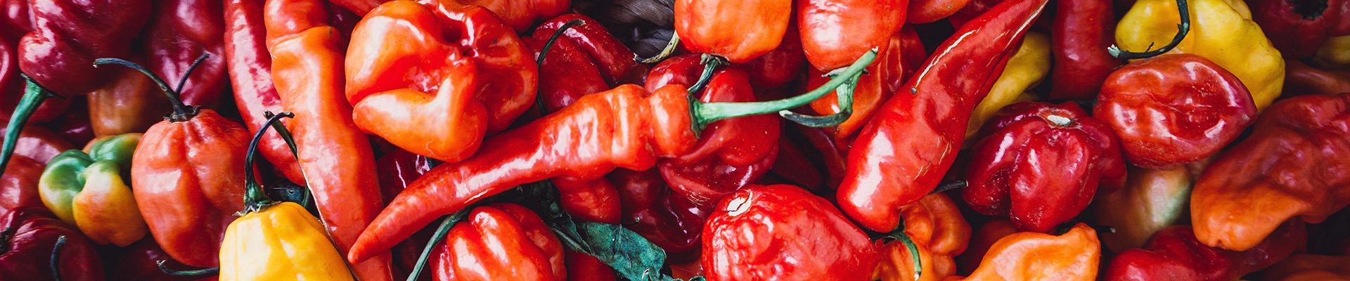 A close up mix of a variety of hot peppers.