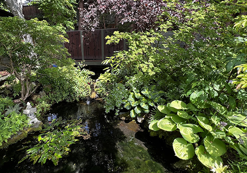 Edmonds Garden Tour garden