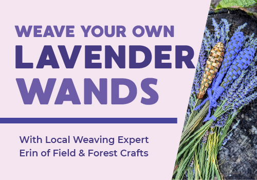 ec_lavenderWands ec_lavenderWands