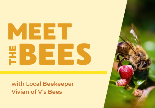 ec_meetTheBees ec_meetTheBees