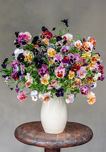 Photo by Kelly Bowie for Timber Press