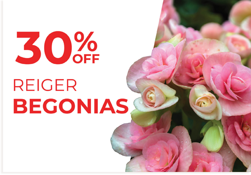 sale_reiger