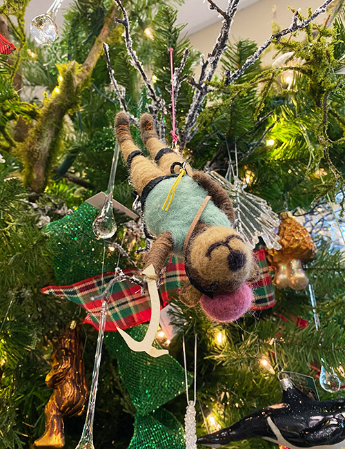 gi_holiday_PNWClimber_IMG_9613