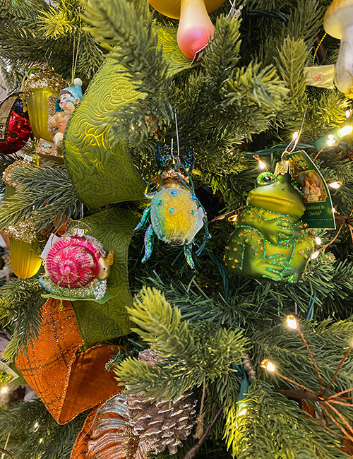 gi_holiday_frogsBugs_IMG_9650