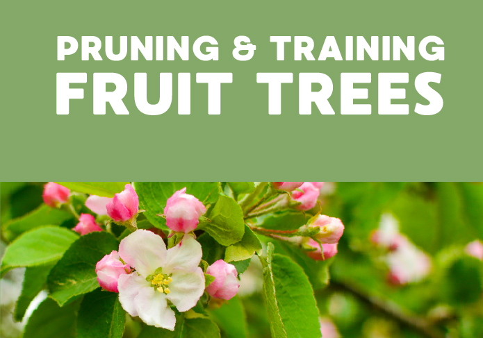 ec_web_fruitTrees2