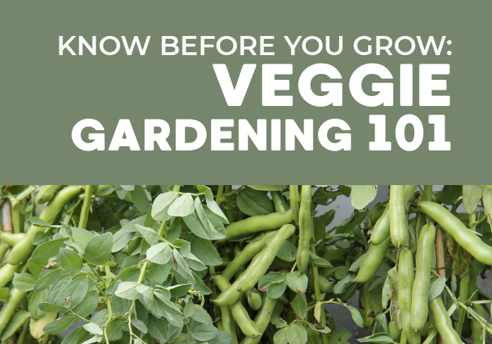 ec_web_veggie101