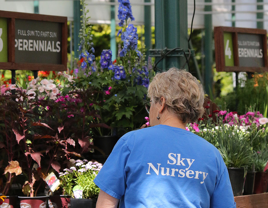 emp_greenhouse_perennials_5L9A1293-copy