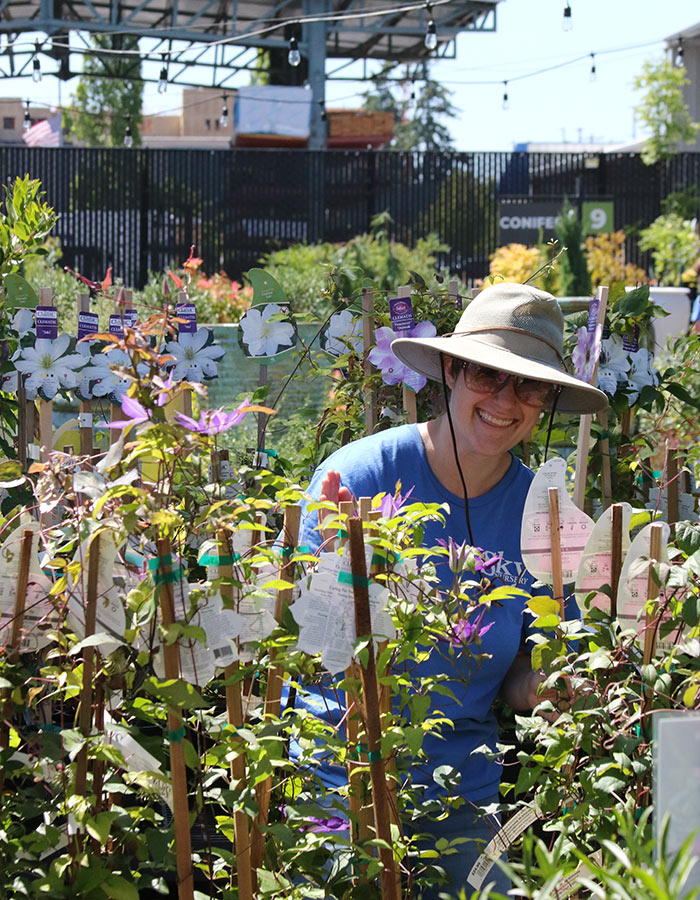 emp_mary_clematis_5L9A8566