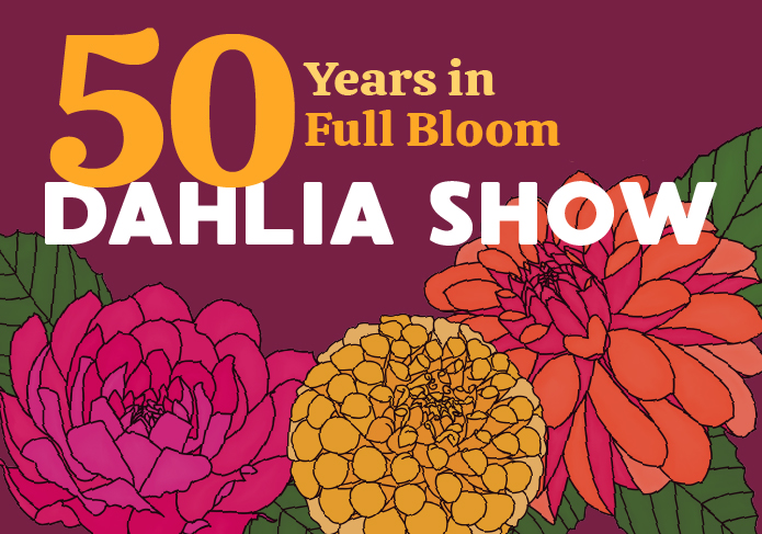 ec_dahliaShow50_web