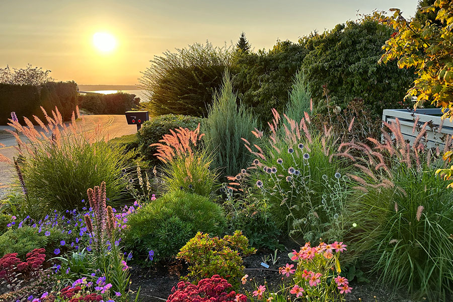 ec_richmondBeach_gardenTour_Niblack-Garden-in-the-sun