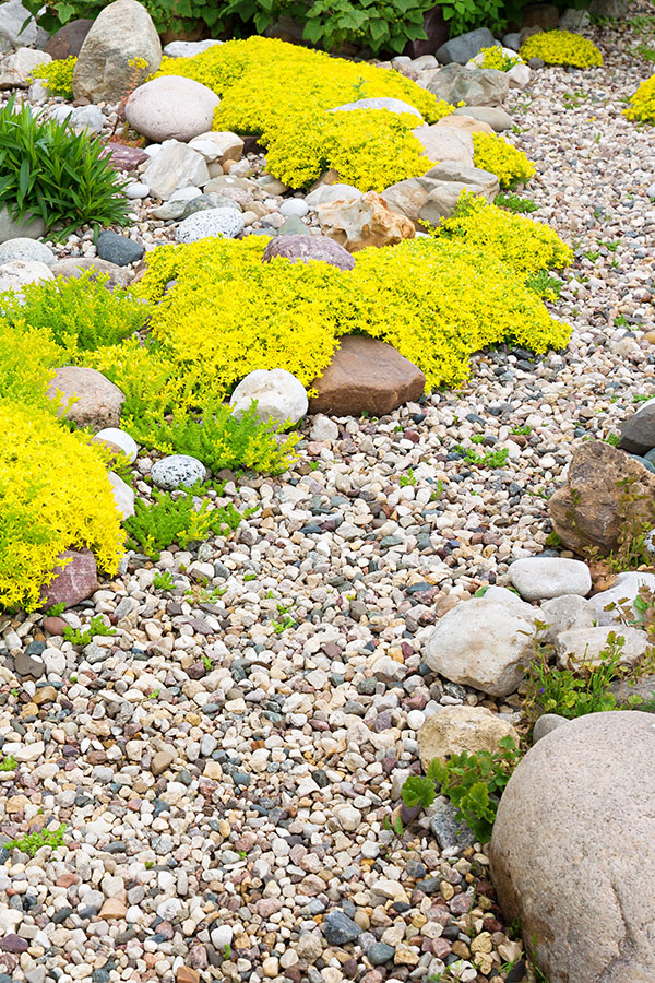 gs_gravel_peaGravel_oversizedRiverRock_AdobeStock_305352884