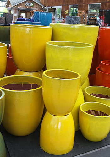 cn_yellow_5L9A0196