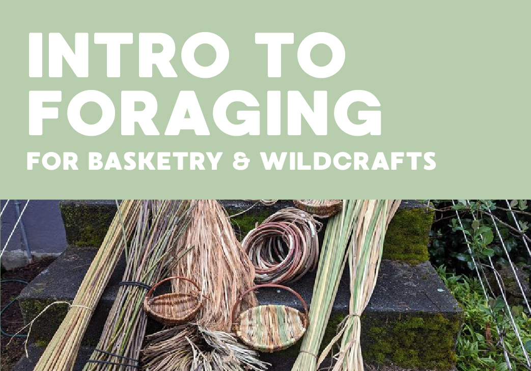 ec_foragingForBasketry