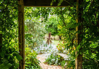 misc_gardenPath_blog_walk_sum_350x500_tim-cooper-XfqGuWevmvs-unsplash